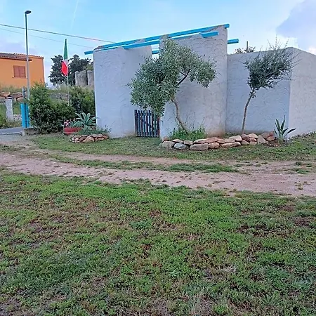 Free Zone 3*